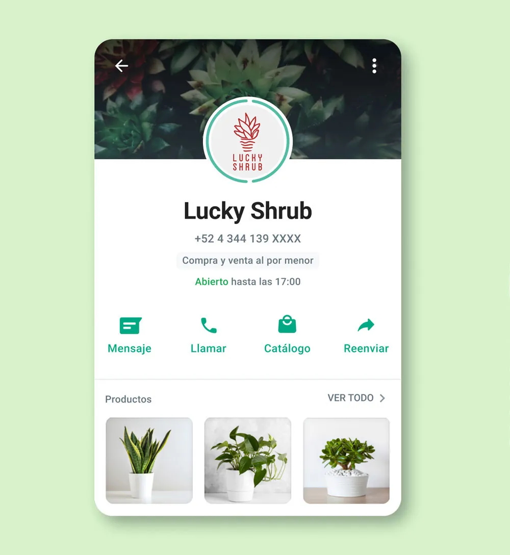 Interfaz de usuario de la aplicación WhatsApp Business