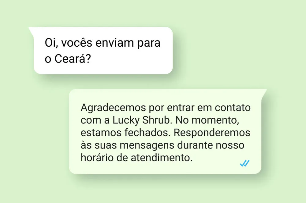 Conversa entre um cliente e uma empresa