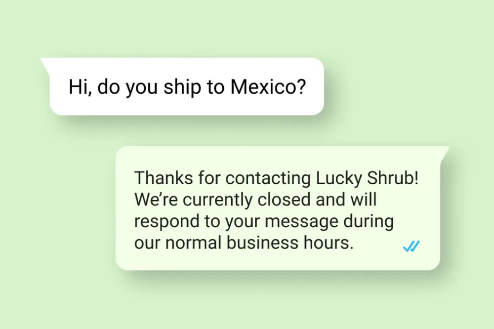 Conversation between a customer and a business