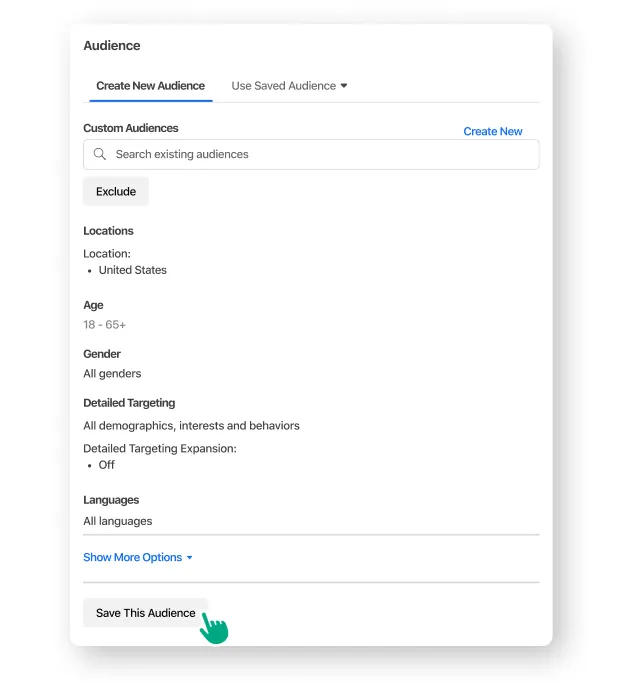 A user selecting and saving their target audience