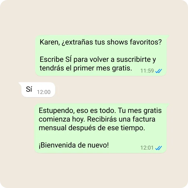 Demo de una empresa volviéndose a dirigir a un usuario, pidiéndole que vuelva a suscribirse en un programa